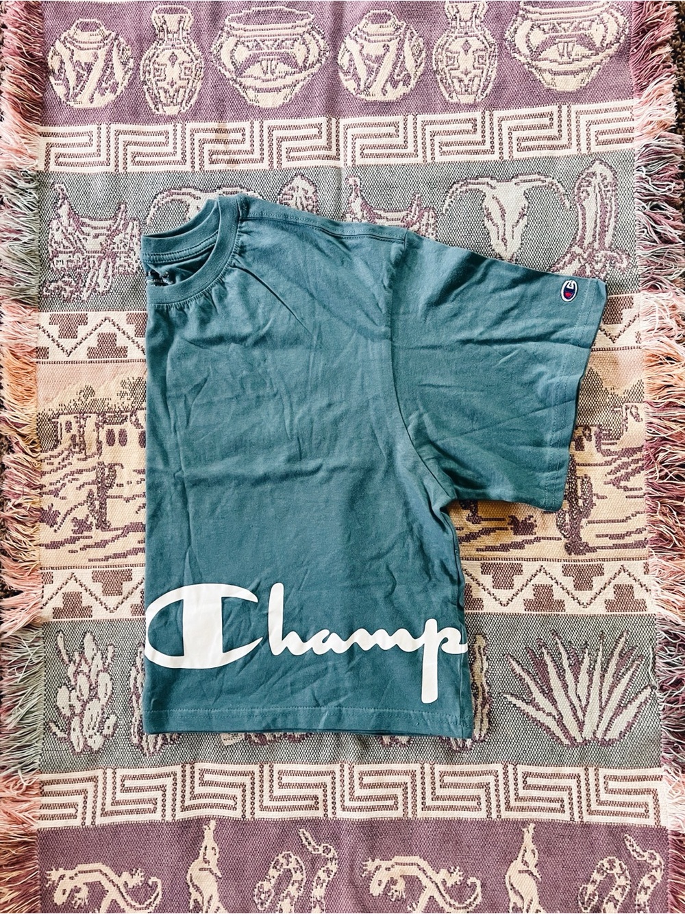 NWOT Champion Teal Green Logo Crop Tee